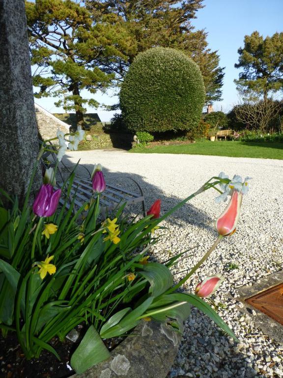 Molesworth Manor Hotel Little Petherick Room photo